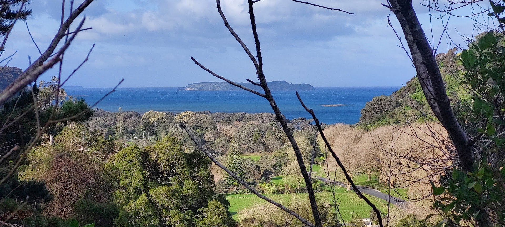 A view of the lush forest and calm waters at Wenderholm Regional Park.